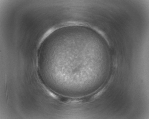 X0000082991365200702011418