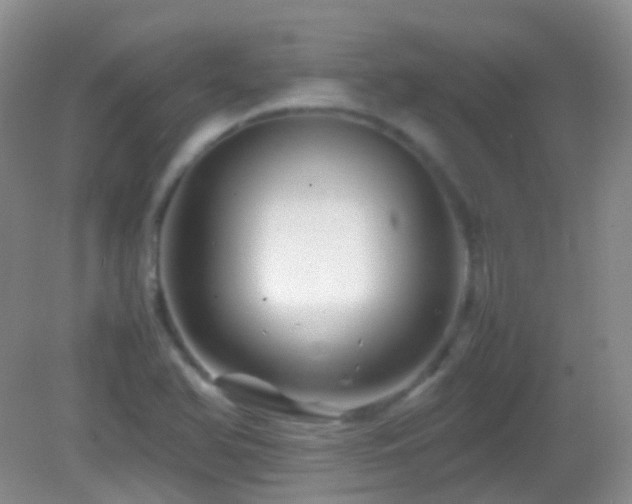 X0000082991366200702011418