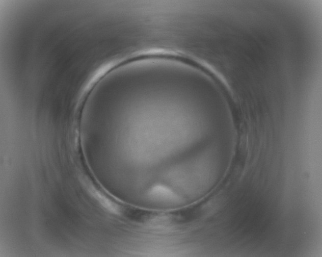 X0000082991367200702011418