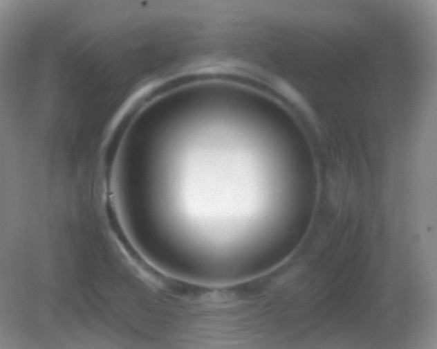 X0000082991368200702011418