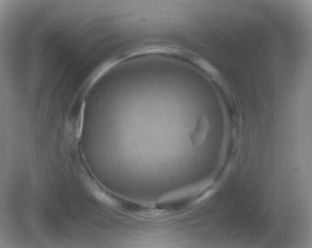 X0000082991369200702011418