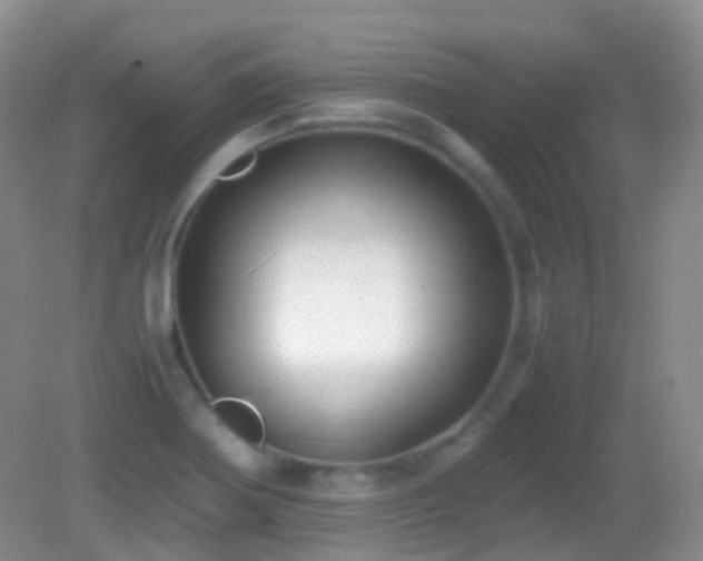 X0000082991370200702011418