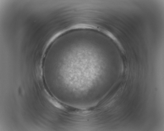 X0000082991372200702011418