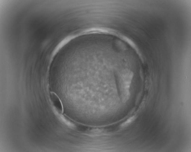 X0000082991373200702011418