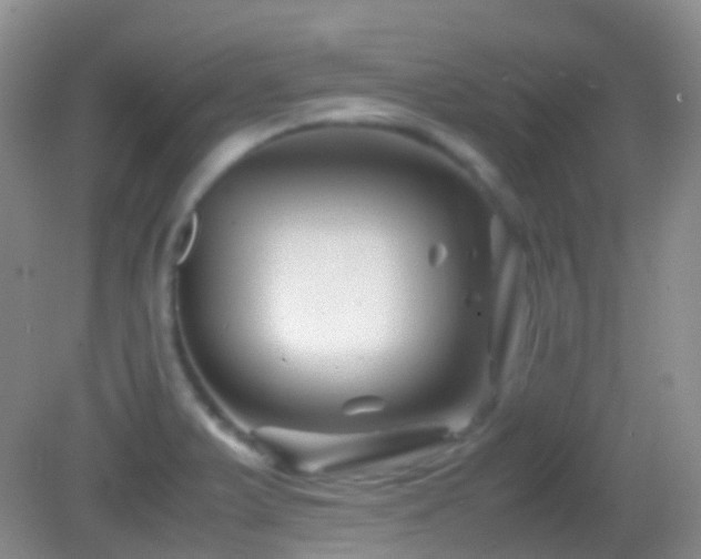 X0000082991375200702011418