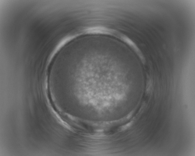 X0000082991376200702011418