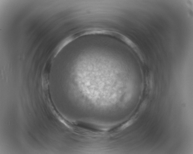 X0000082991377200702011418