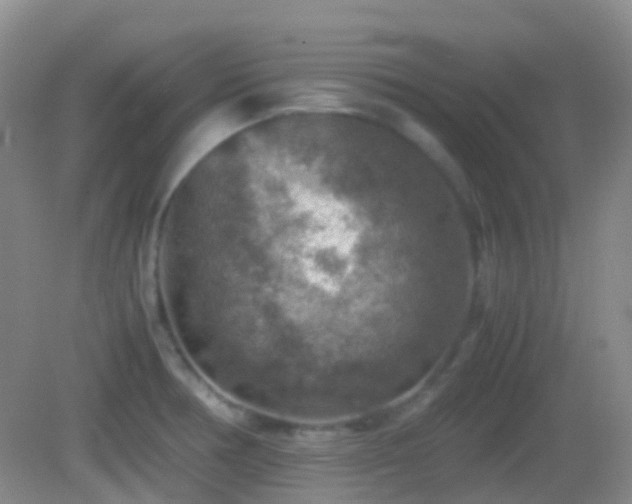 X0000082991378200702011418