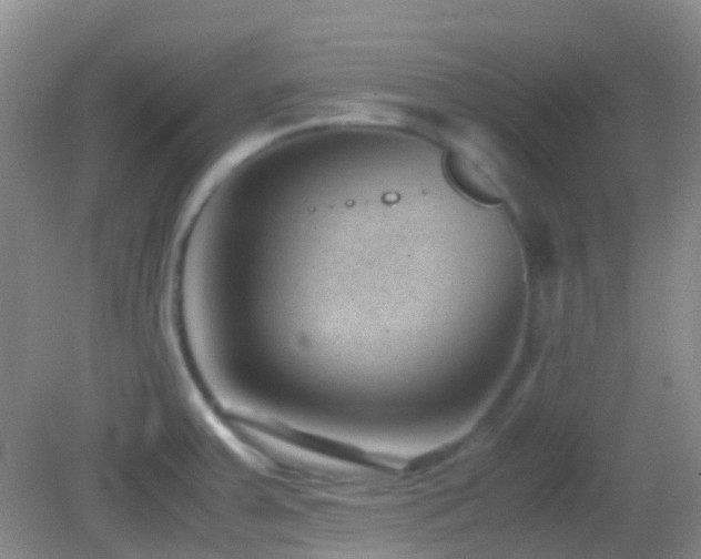 X0000082991379200702011418