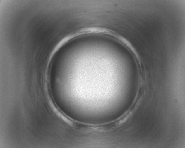 X0000082991381200702011418