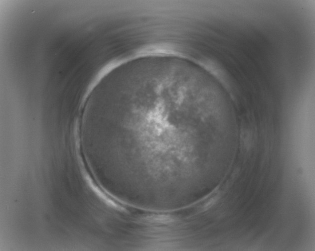 X0000082991382200702011418