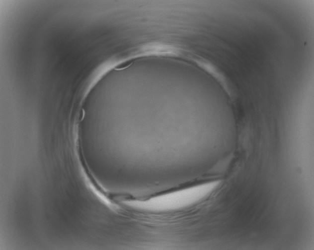 X0000082991383200702011418