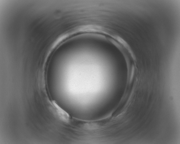 X0000082991384200702011418