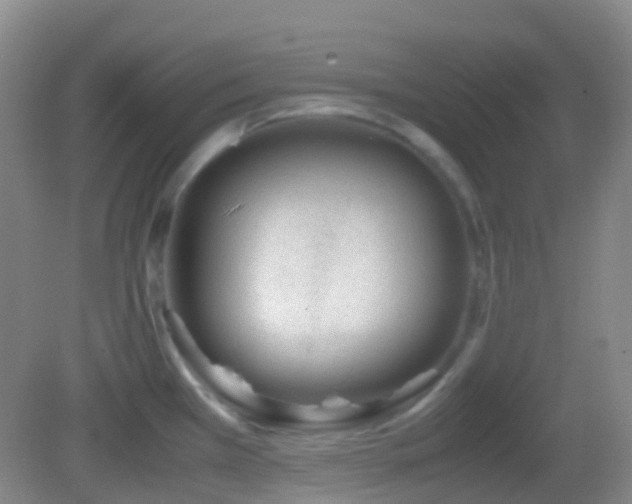 X0000082991385200702011418