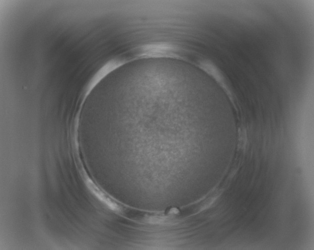 X0000082991386200702011418