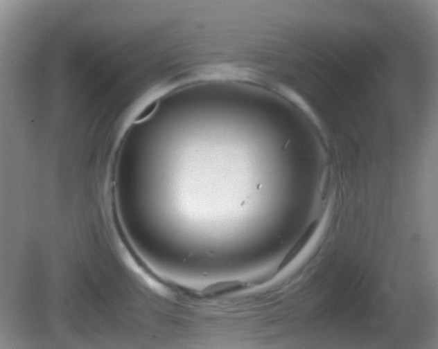 X0000082991387200702011418