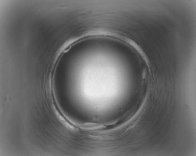 X0000082991388200702011418