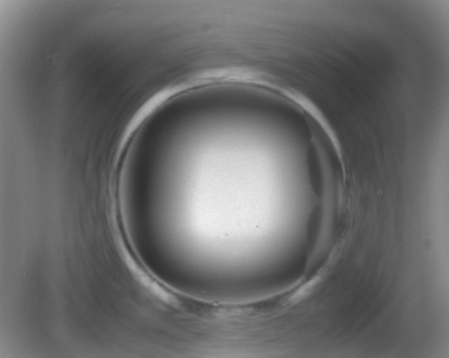 X0000082991389200702011418