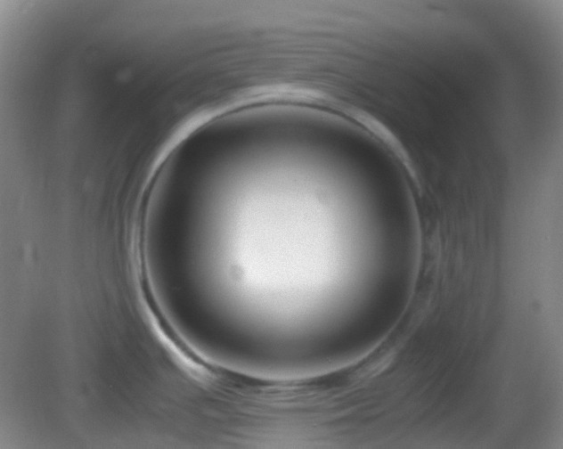 X0000082991391200702011418