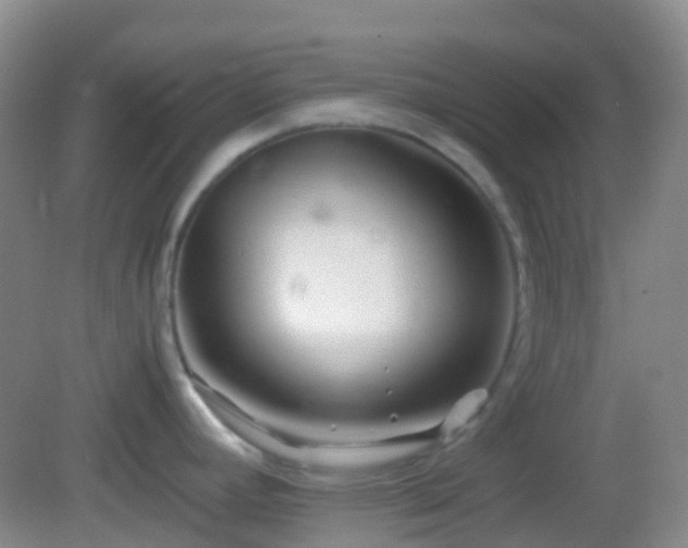 X0000082991392200702011417