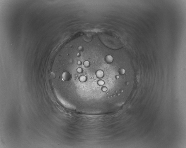 X0000082991393200702011417