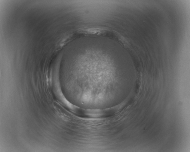 X0000082991394200702011417