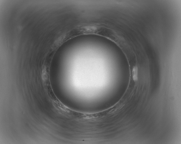 X0000082991395200702011417