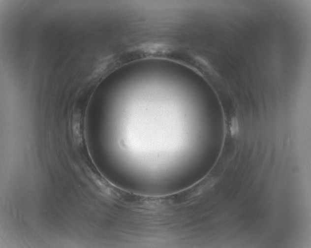 X0000082991396200702011417