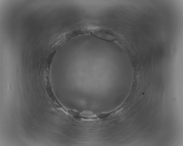 X0000082991397200702011417