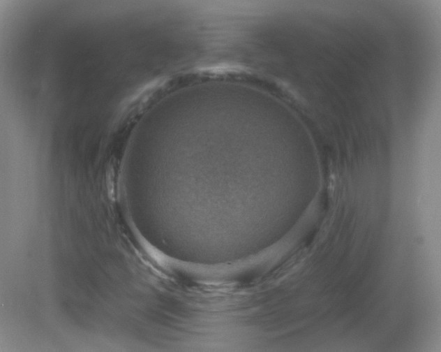 X0000082991398200702011417