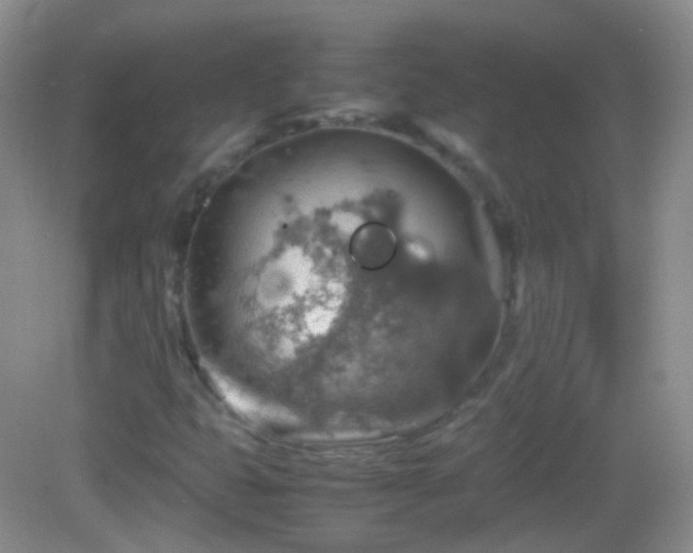 X0000082991399200702011417