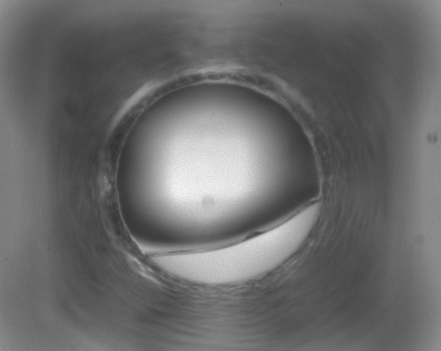 X0000082991400200702011417