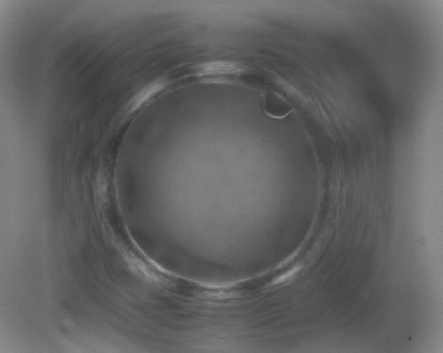 X0000082991401200702011417