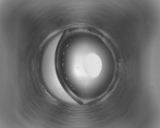 X0000082991402200702011417