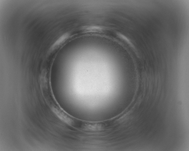 X0000082991403200702011417