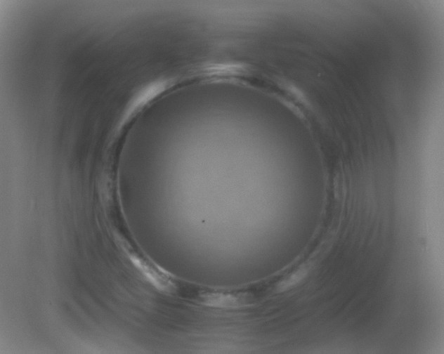 X0000082991405200702011417