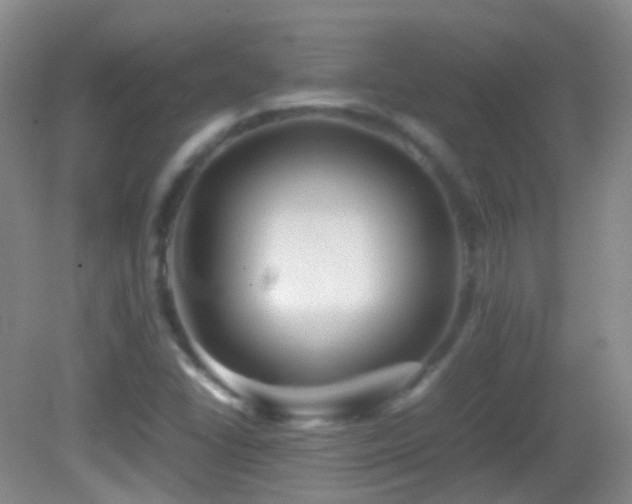 X0000082991406200702011417