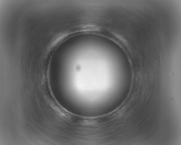 X0000082991407200702011417