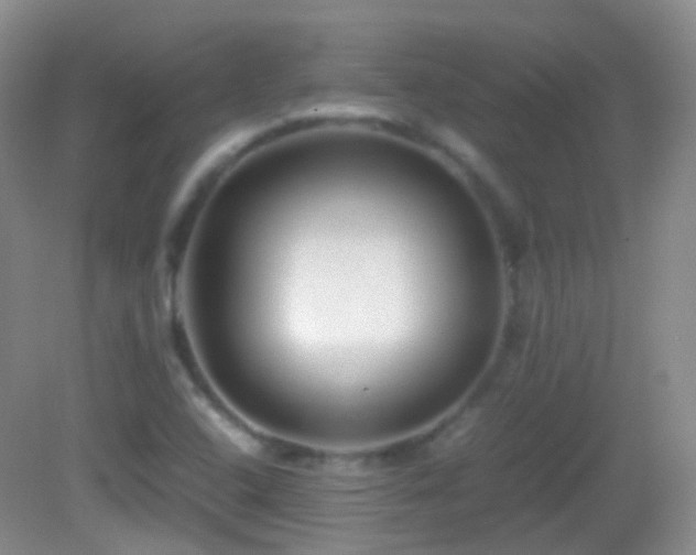 X0000082991408200702011417