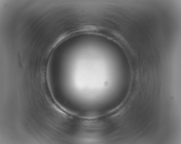 X0000082991409200702011417