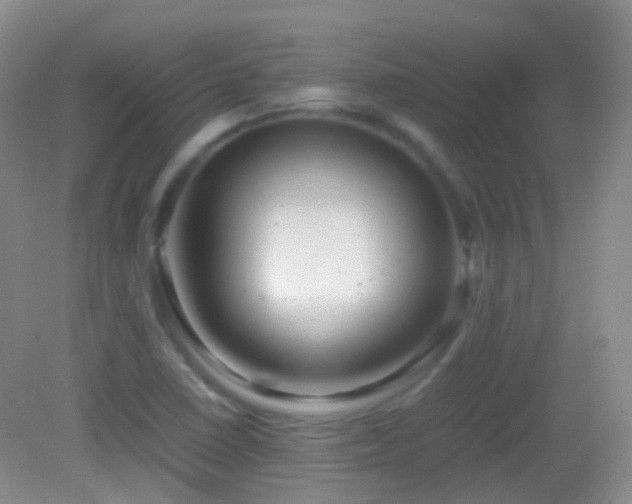 X0000082991410200702011417