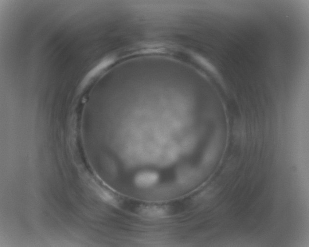 X0000082991411200702011417