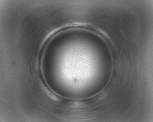 X0000082991412200702011417