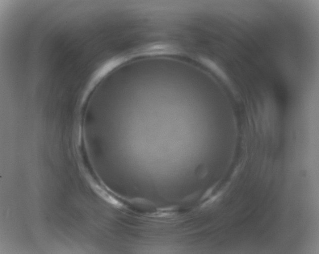 X0000082991413200702011417