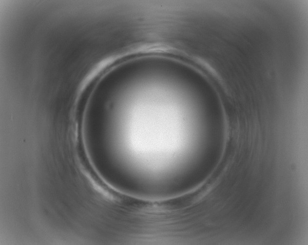 X0000082991414200702011417