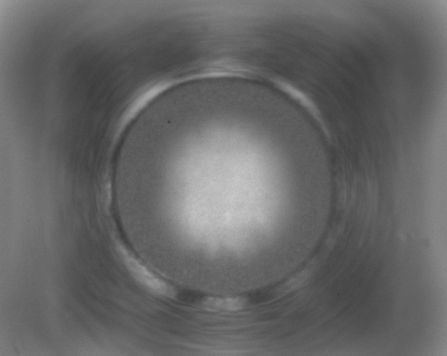 X0000082991415200702011417