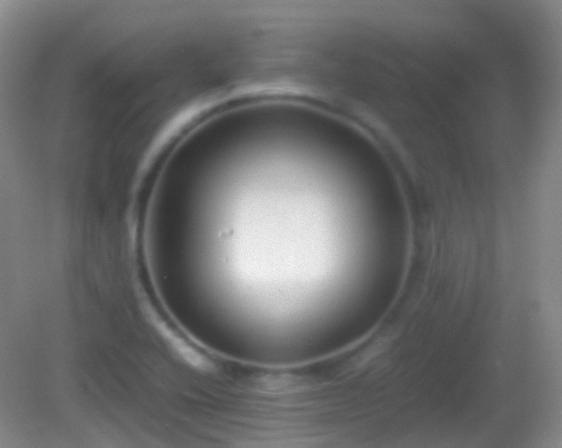 X0000082991416200702011417