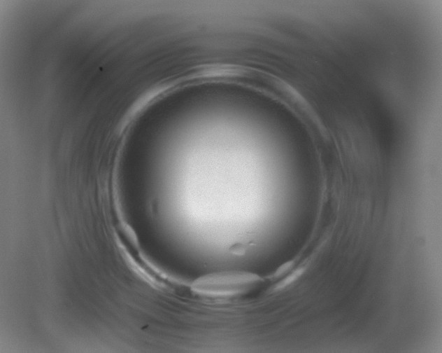 X0000082991417200702011417