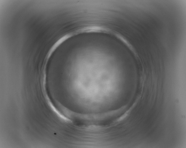 X0000082991418200702011417