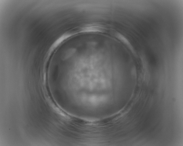 X0000082991419200702011417